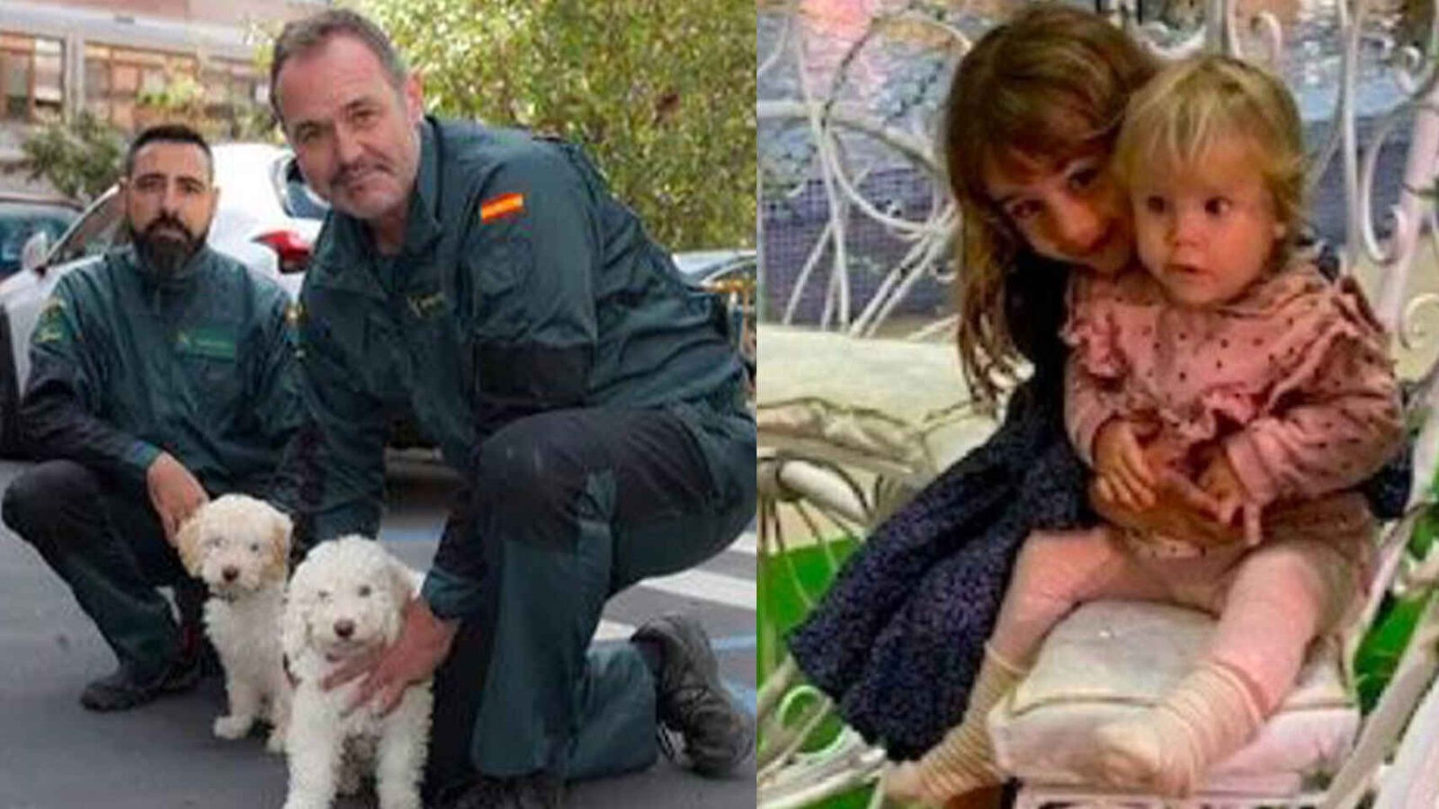 En este momento estás viendo Junco y Bill, los perros que buscan a las niñas canarias pueden oler sangre hasta en ropa lavada cinco veces