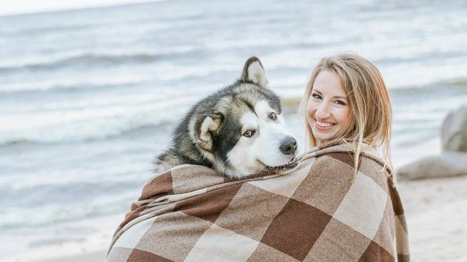 En este momento estás viendo 15 datos curiosos sobre los perros