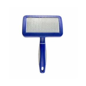 CEPILLO CARDA PEQUEÑA, PUA PROTEGIDA – ARTERO