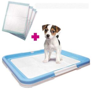 BANDEJA EMPAPADOR PUPPY TRAINER + 10 EMPAPADORES