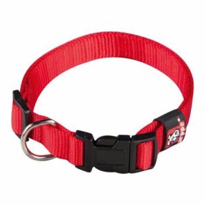 COLLAR NYLON BASIC
