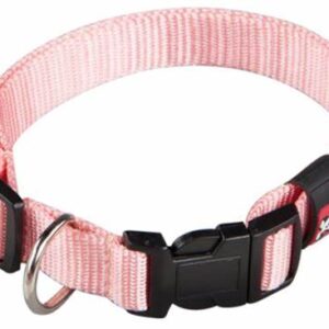 COLLAR NYLON BASIC