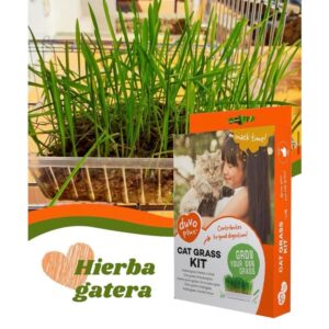 KIT HIERBA GATERA DE DUVO+