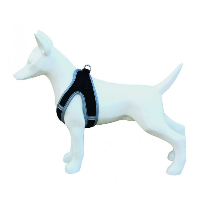 ARNES SOFT - FREEDOG - Imagen 3