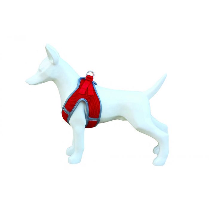 ARNES SOFT - FREEDOG - Imagen 4