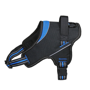 ARNES STRONG – FREEDOG