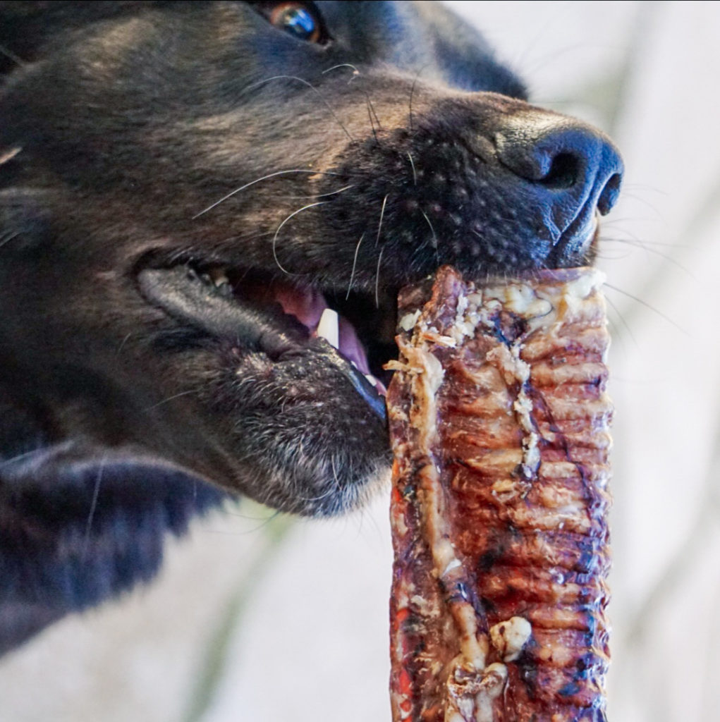 SNACK NATURAL, TRAQUEA DE TERNERA - LENDA