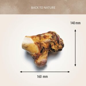 NUDILLO DE VACA – ANTOS